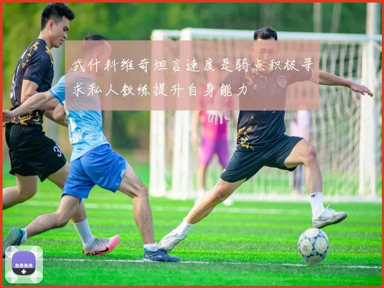 武什科维奇坦言速度是弱点积极寻求私人教练提升自身能力